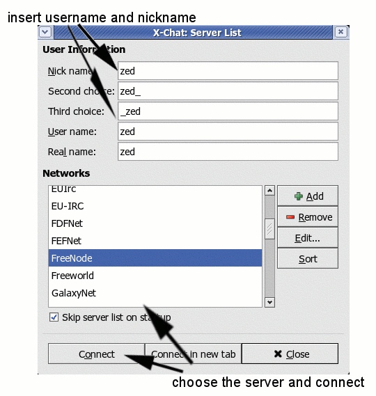 the X-Chat server window the X-Chat server window